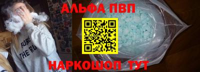 амф Кингисепп