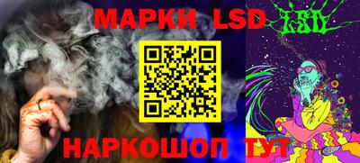амф Кингисепп
