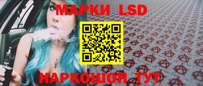 амф Кингисепп