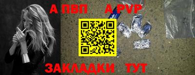 амф Кингисепп