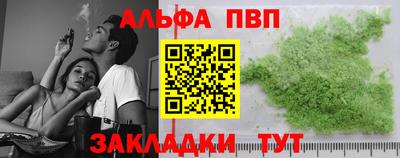 амф Кингисепп