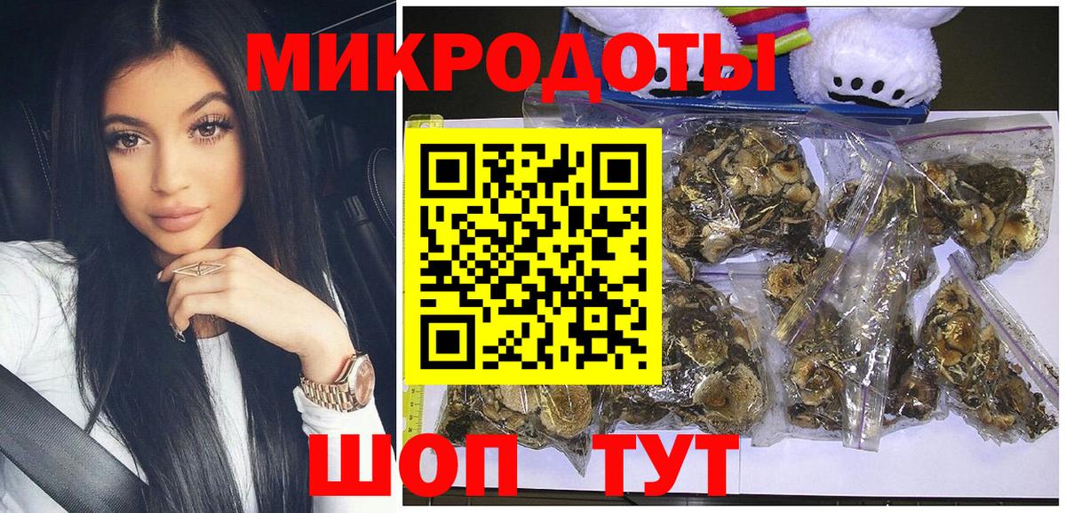 купить   Крымск  Псилоцибиновые грибы Magic Shrooms 